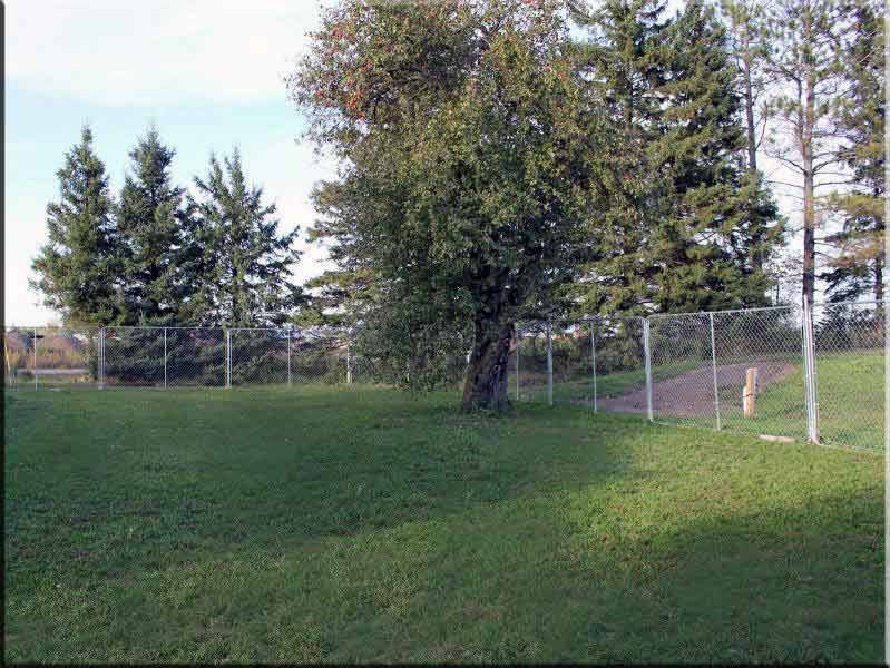 French Bulldog Puppy Play Area - Safe Outdoor Socialization Space