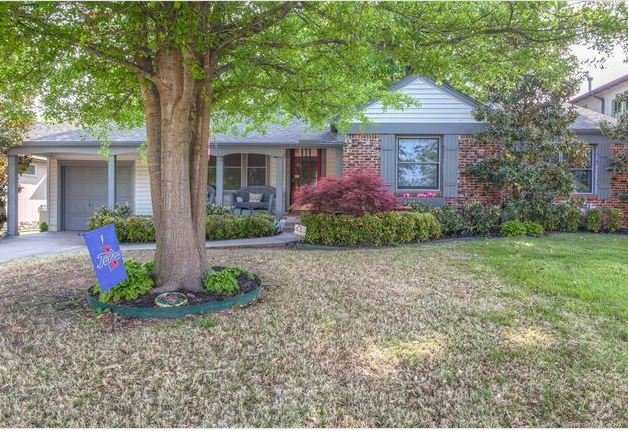 Purebred French Bull Dogs Home - Family-Centered Breeding Facility